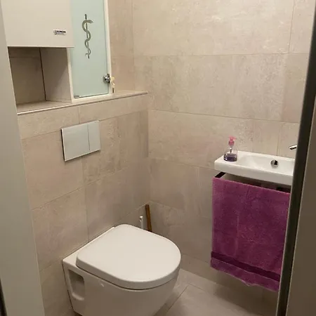 Anton Bruckner Lounge L Free Parking Apartamento Linz